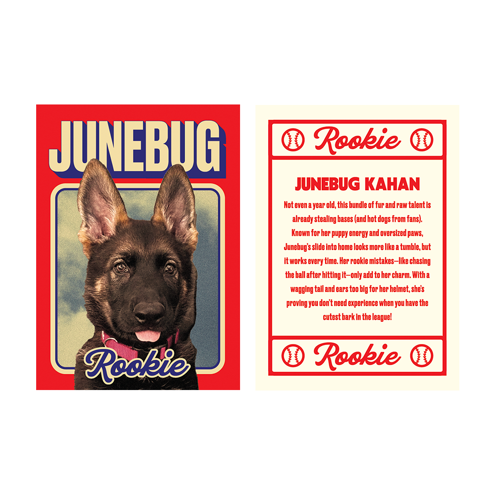 Noah Kahan - Live From Fenway Baseball Card Pack