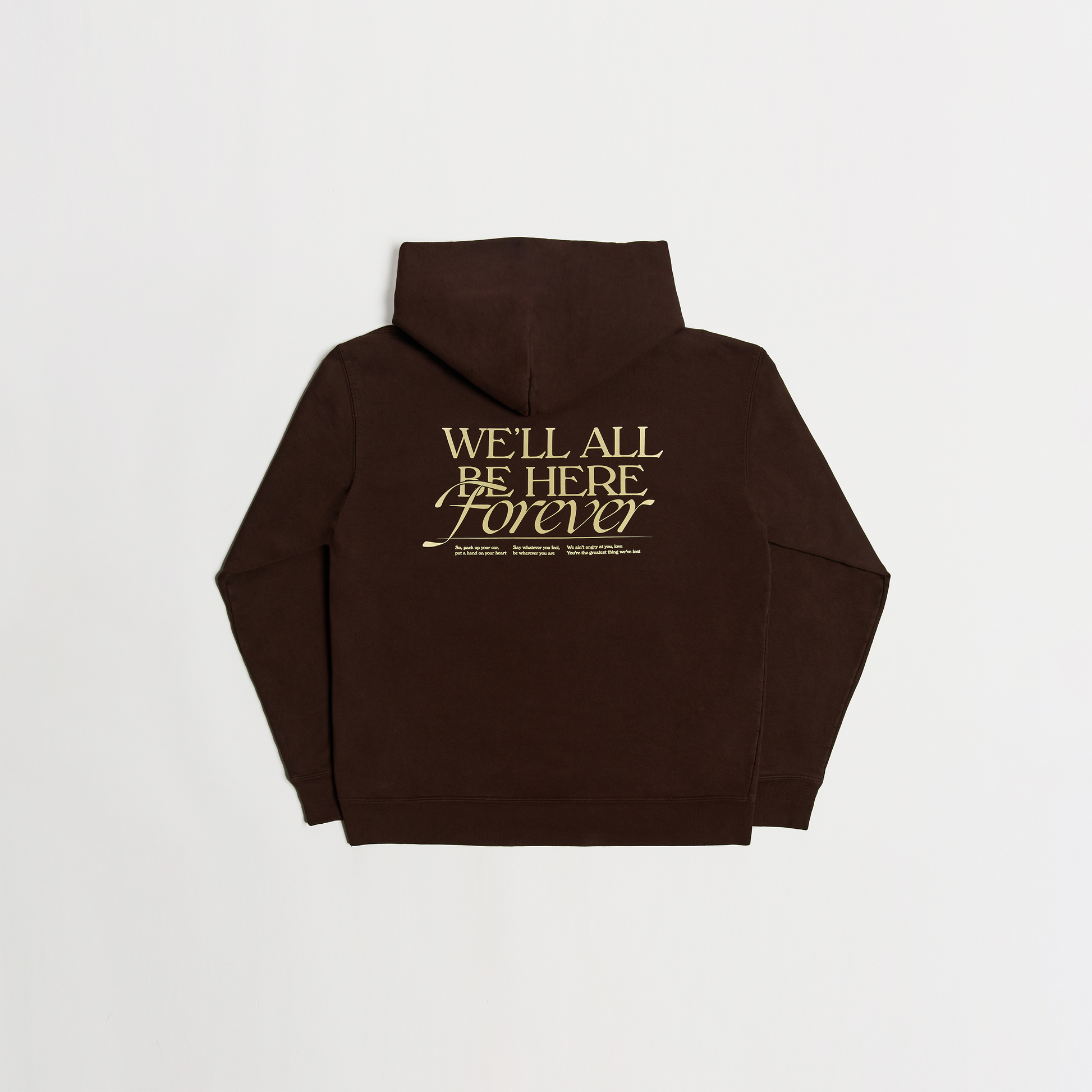 Noah Kahan - We'll All Be Here Forever Hoodie