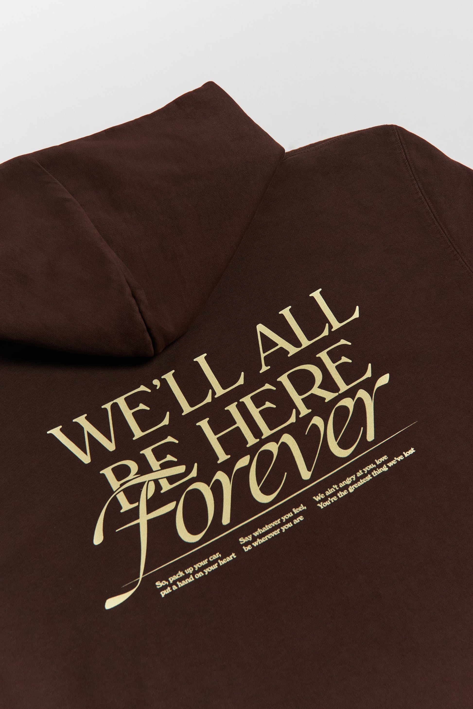 Noah Kahan - We'll All Be Here Forever Hoodie