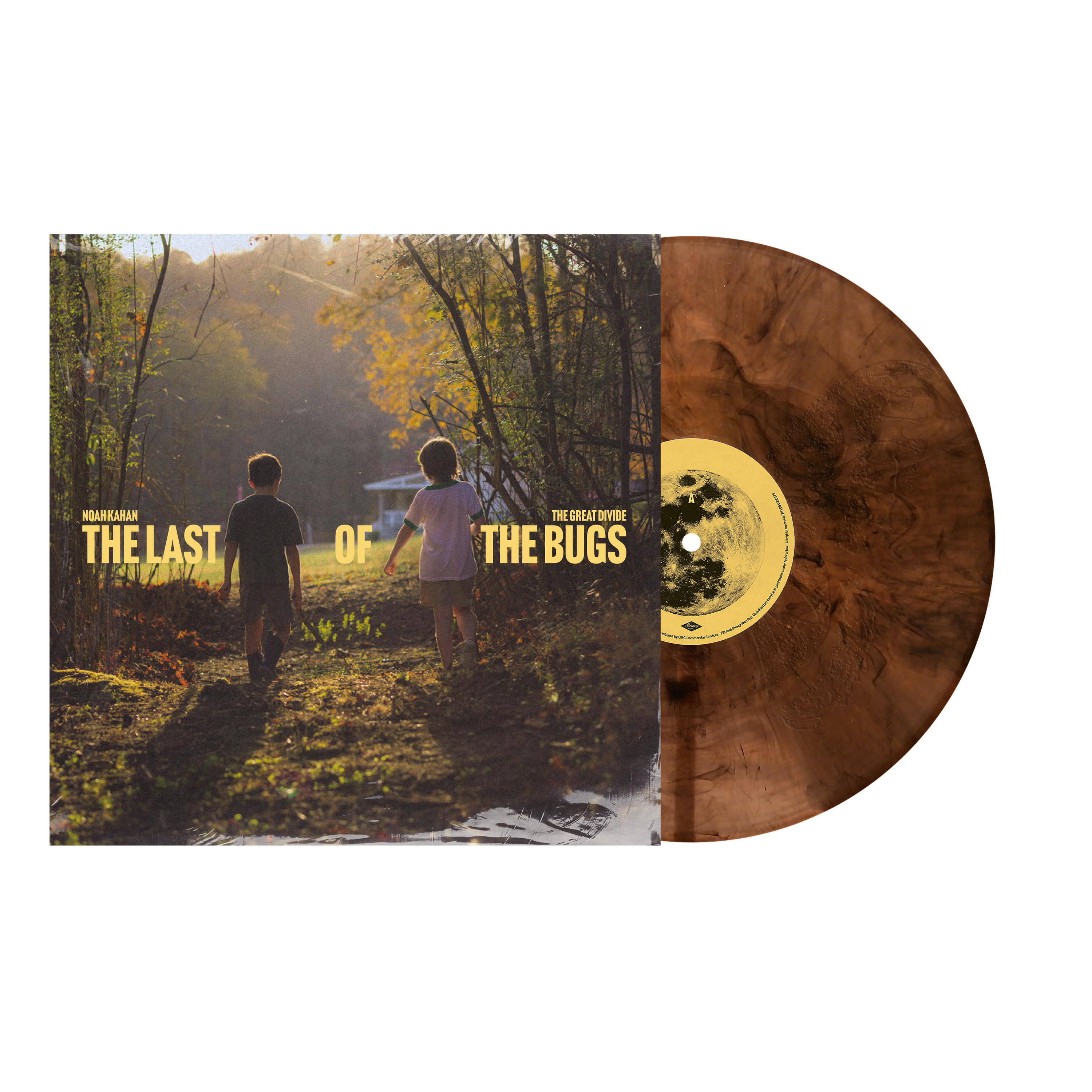 Noah Kahan - The Last Of The Bugs 12" Vinyl